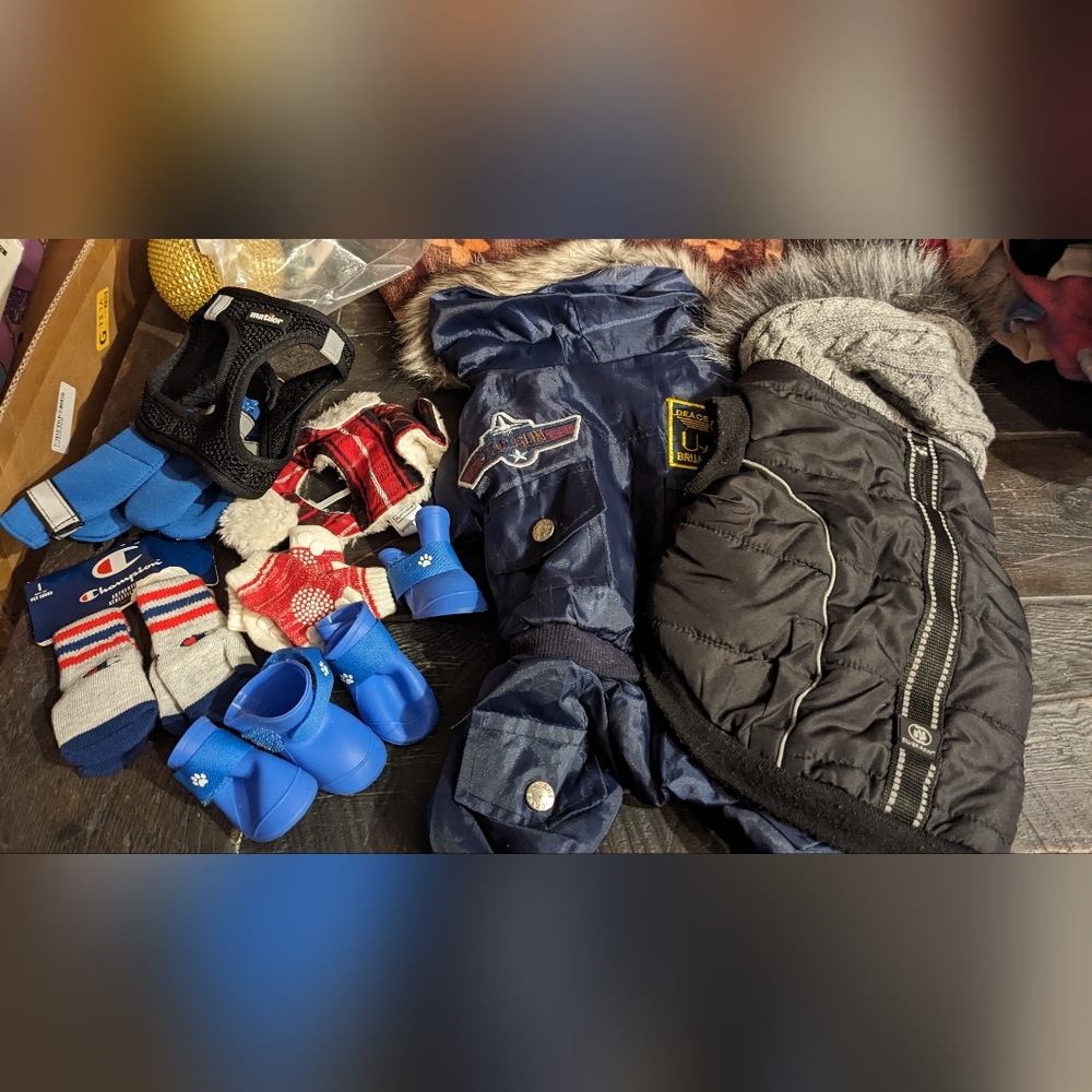 Winter small dog bundle socks, boots, hat, snowsuit, jacket, harness